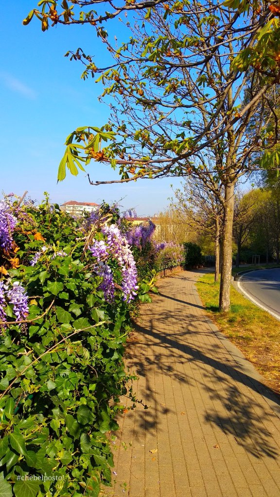 Torino - Salita al Monte dei Cappuccini