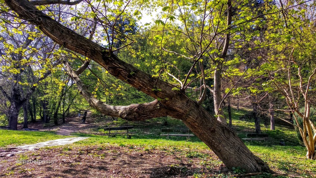 Torino - discesa dal Monte dei Cappuccini