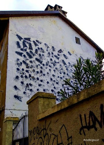 Torino, MAU - Sergio Ragalzi - mosche