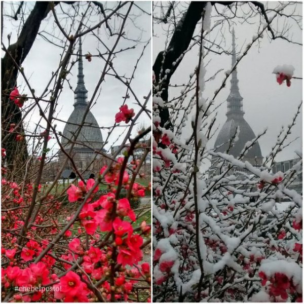 Ecco la Mole&nbsp;Antonelliana!