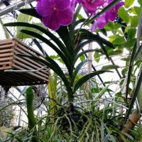 Un giro all’Orto Botanico di&nbsp;Torino