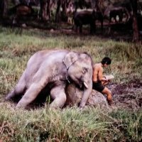 A Palazzo Madama, la mostra di “Steve McCurry:&nbsp;Leggere”